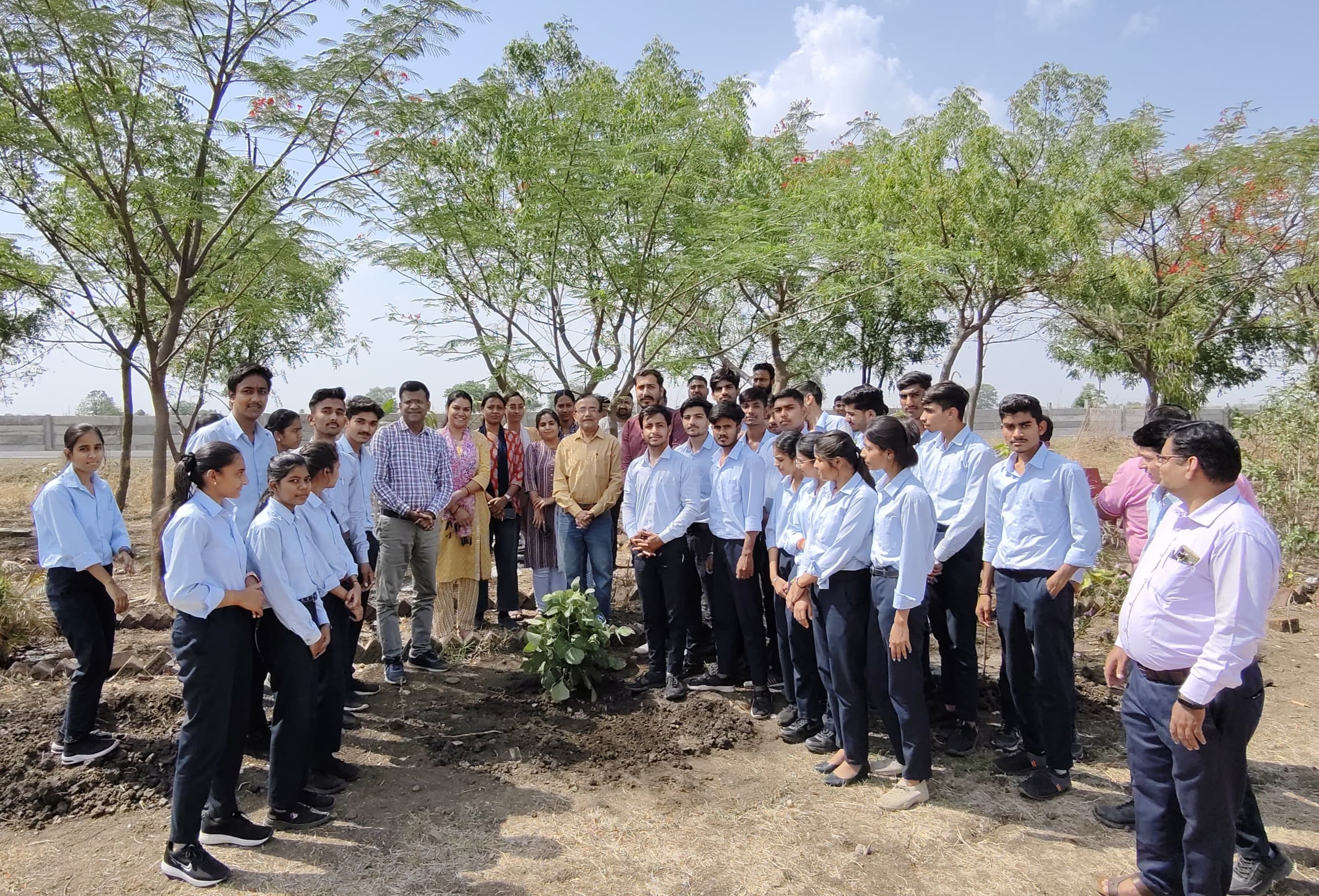 Tree Plantation Drive